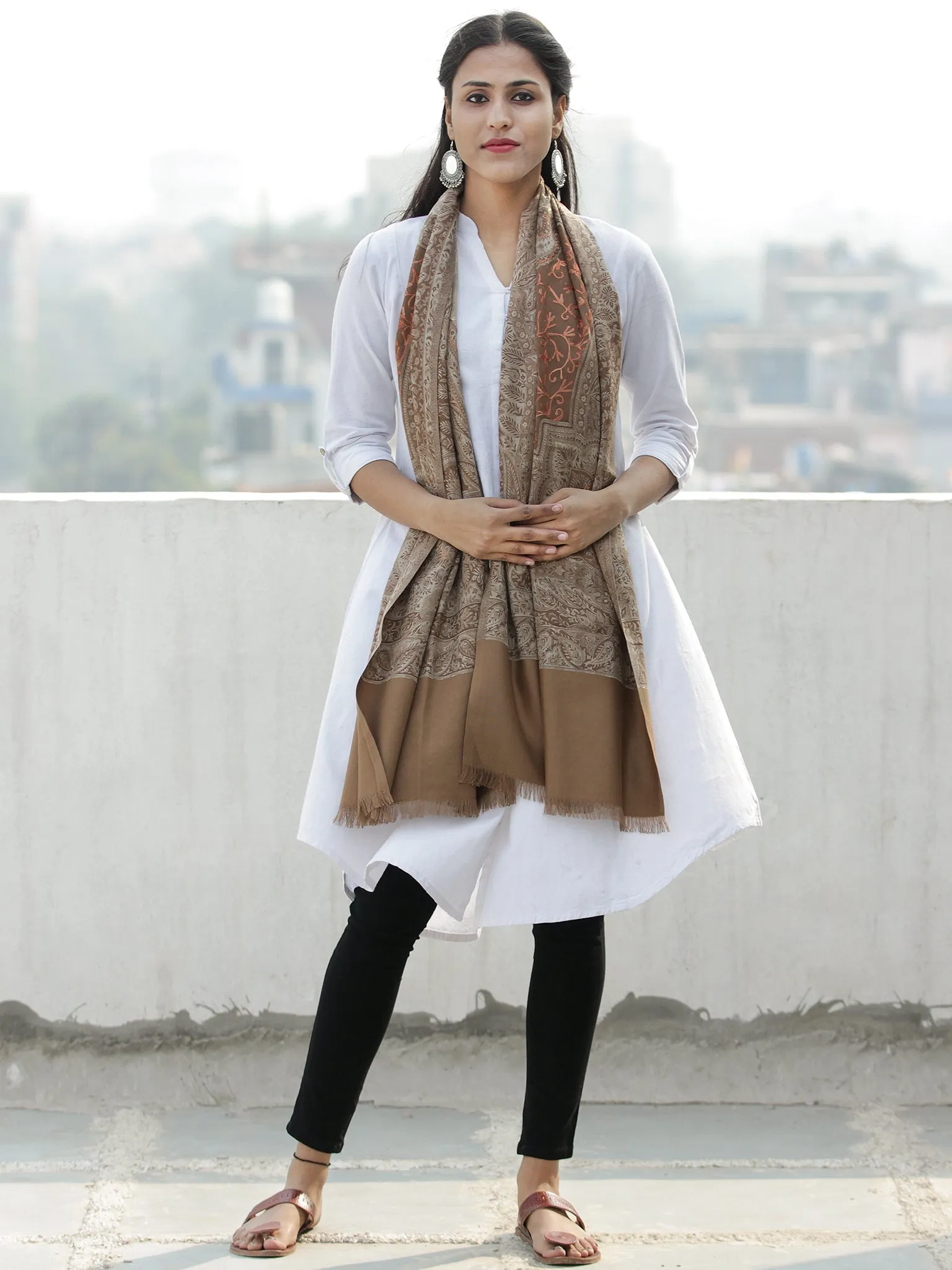 Beige Light Brown Jamawar Aari Embroidered Woollen Kashmiri Stole - S200587