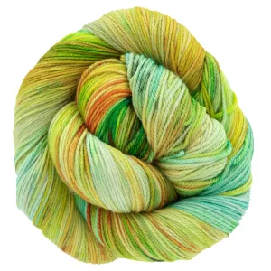 Dream in Color Smooshy Cashmere Yarn - Farmers Market