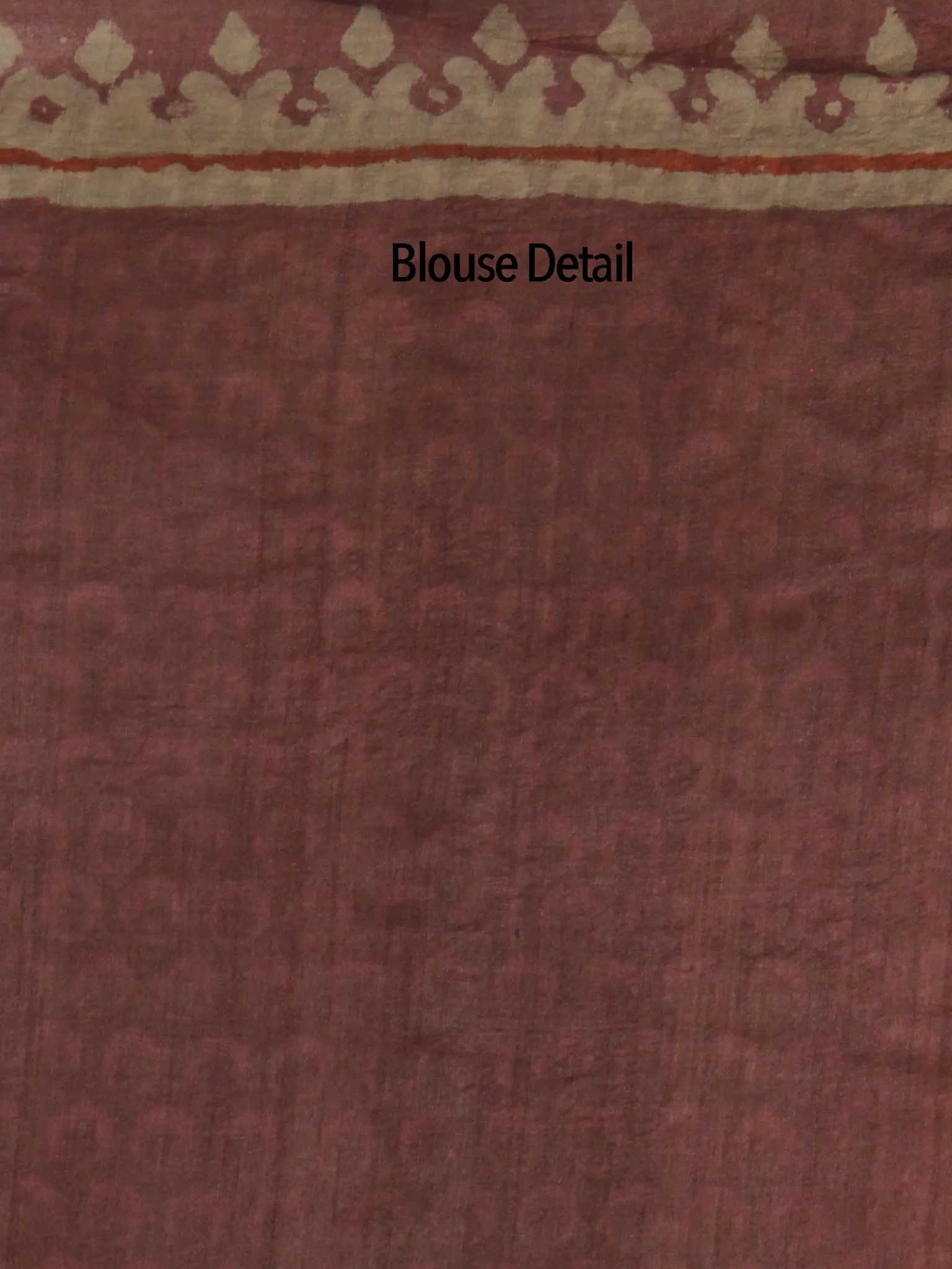 Tussar Handloom Silk Hand Block Printed Saree in Amber Rust Beige - S031702539